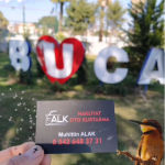 Buca Kartvizit - Alk Kurtarma